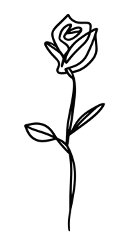 Single rose flower line art graphic drawing sketch doodle illustration isolated element transparent background png