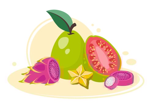 Fruits clipart. Exotic Fruit close up. Tropical organic natural healthy food. Ripe natural harvesting. Dragon fruit, guava, carambola. flat hand drawn illustration vector