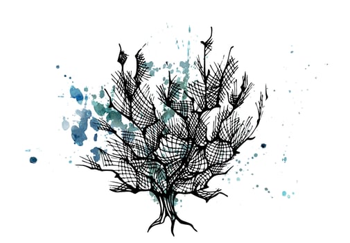 Watercolor and ink hand drawn marine life, sea ocean underwater creatures. fish, shells algae seaweed. Single object illustration, stylized, isolated on white. Zoo shop, aquarium, cosmetics, resort vector