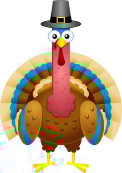 Funny Turkey Cartoon Character With Pilgrim Hat vector