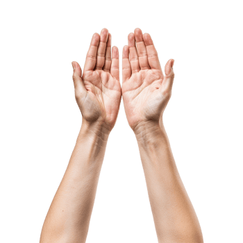 Hands raised up gesture Isolated on transparent background png