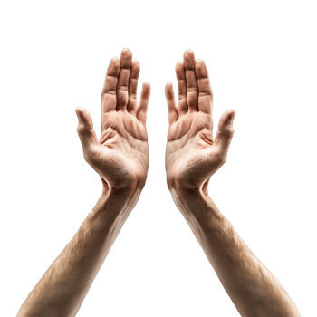 Hands raised up gesture Isolated on transparent background png