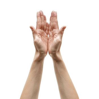 Hands raised up gesture Isolated on transparent background png