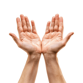 Hands raised up gesture Isolated on transparent background png
