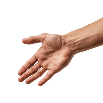 Handshake isolated on transparent background png