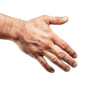 Handshake isolated on transparent background png