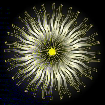 Round abstract white pattern on a black background vector