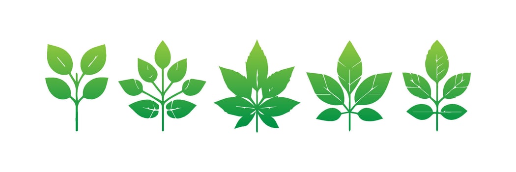 Green leaf icons set. Leaves icon on isolated background. Collection green leaf. Elements design for natural, eco, vegan, bio labels vector