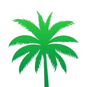 Green palm tree isolated on white background. Palm silhouette vector