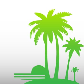 Green palm tree isolated on white background. Palm silhouette vector