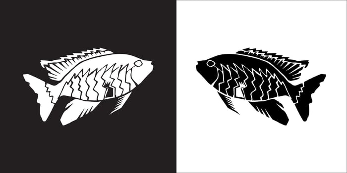 Illustration graphics of fish icon vector