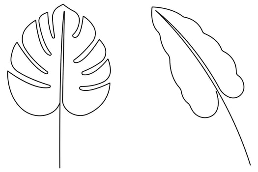 illustration continuous one line drawing of outline palm leaf design vector
