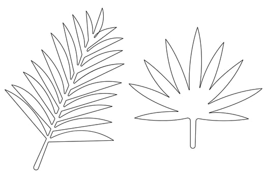 illustration continuous one line drawing of outline palm leaf design vector