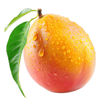 Mango Isolated on a Transparent Background png