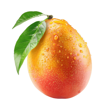 Mango Isolated on a Transparent Background png