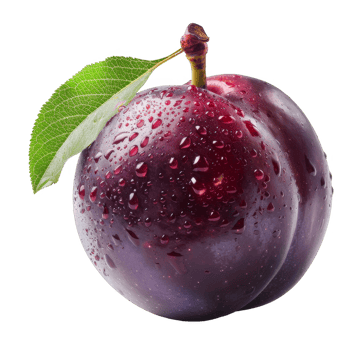 Plum Isolated on a Transparent Background png