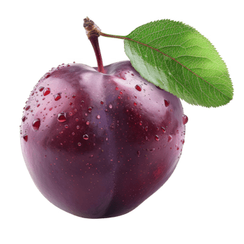 Plum Isolated on a Transparent Background png