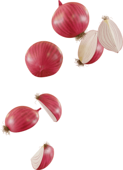 falling red onion slice png