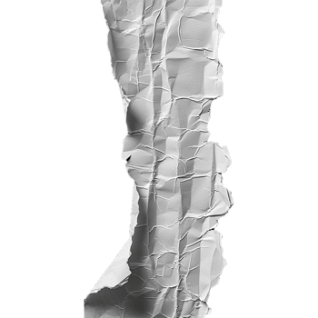 Ripped paper isolated on transparent background png
