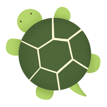 a turtle on transparent background png