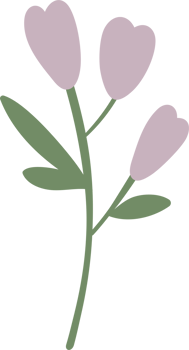 Decoration flower with green leaves png