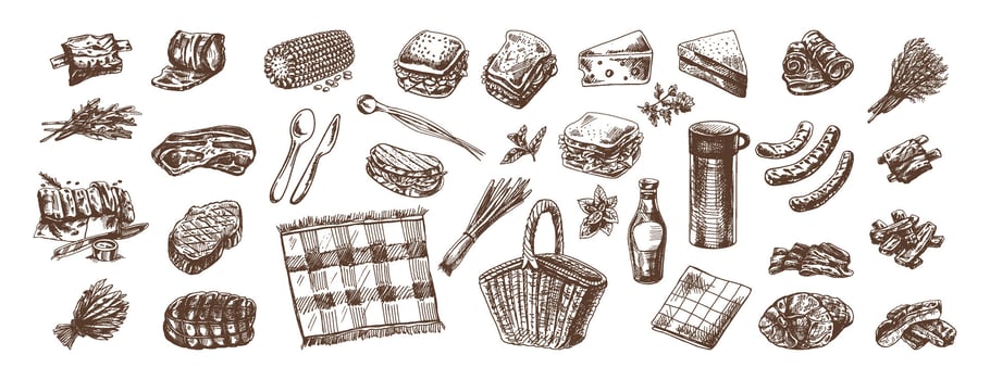 A set of hand-drawn sketches of barbecue and picnic elements. For the design of the menu of restaurants and cafes, grilled food, meat. Doodle vintage illustration. Engraved image. vector
