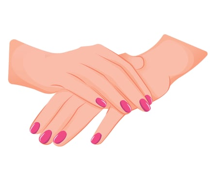 Nails beauty. hands with manicure, pink polished nails. Beauty concept, nail polish, nail design. Illustration for beauty salon isolated on white background vector