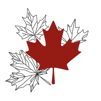 red maple leaf with shadow. Maple leaf icon. Canada symbol. illustration isolated on white background. Elements for the design vector