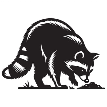 A Raccoon sniffing the ground looking for food illustration in black and white vector