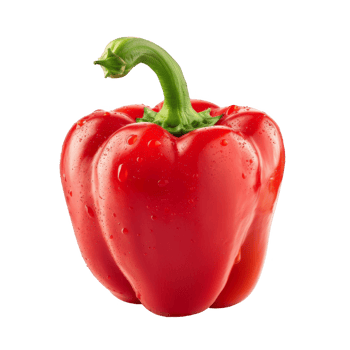 Bell pepper Isolated on a Transparent Background png