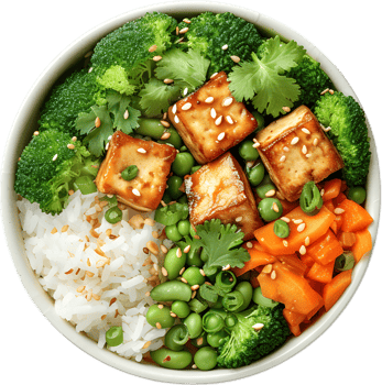 tofu and broccoli recipe transparent background png