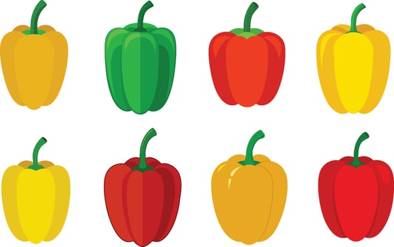 Bell pepper illustration vector