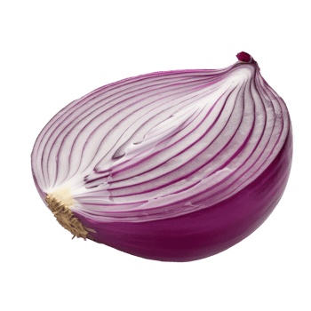 Onion Isolated on a Transparent Background png