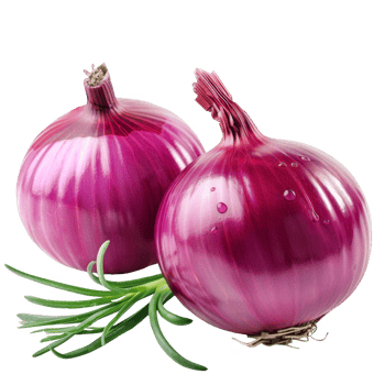 Onion Isolated on a Transparent Background png