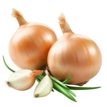 Onion Isolated on a Transparent Background png