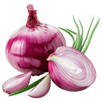 Onion Isolated on a Transparent Background png