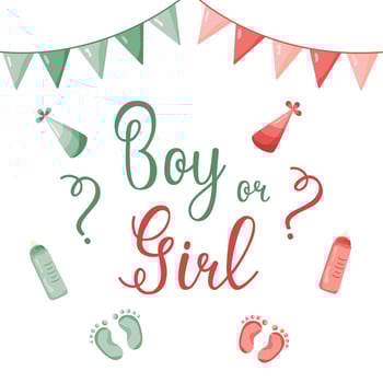 Hand drawn greeting card Boy or Girl. invitation card template for baby gender reveal party. Color illustration with flags and children's items on a white background. vector