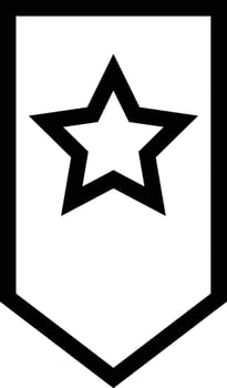 Star icon symbol Illustration vector