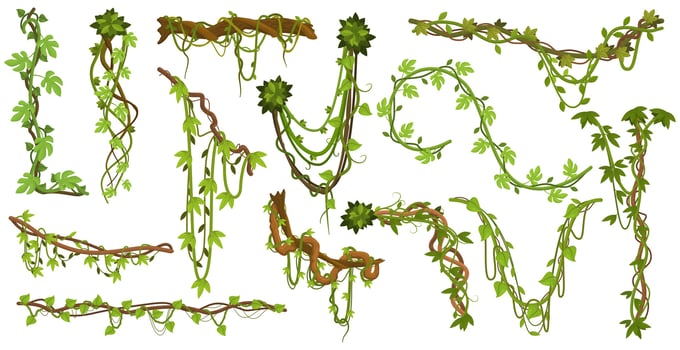 Tropical hanging vines. Jungle liana climbing plants, wild rainforest vines branches with leaves isolated illustration set. Liana exotic branches vector