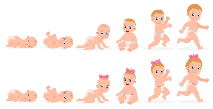First year baby timeline. Baby boy and girl first year development from newborn to toddler illustration. Cute baby month stages development vector
