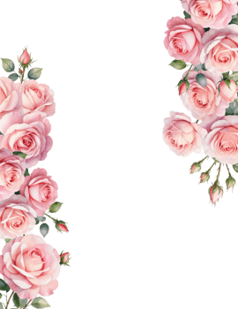 Watercolor rose flower frame isolated on transparent background png