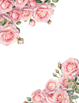 Pink rose border clipart, Flowers bloom frame background png