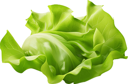lettuce transparent background png