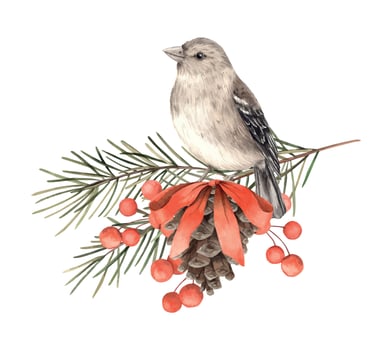 Fir branches with a pine cone, a red bow, berries and a bird. Watercolor botanical illustration on isolated background. Drawings for Christmas and New Year holidays, invitations, cards, wrapping paper vector