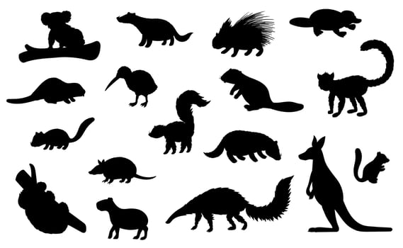 Zoo and hunting animal black silhouettes vector