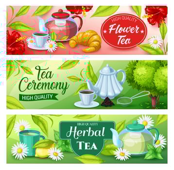 Tea beverage banners of green, herbal, black drink vector