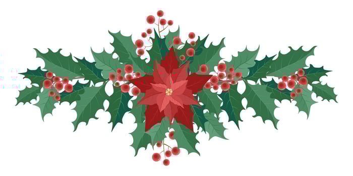 horizontal Christmas composition of poinsettia and twigs with green leaves and red berries vector