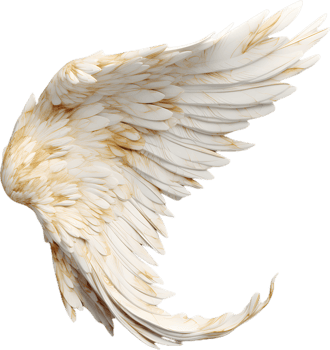 angels wing transparent background png