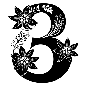 black graphic number 3 decorated with flowers png