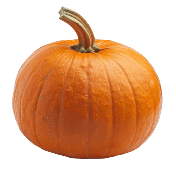 Pumpkin Isolated on a Transparent Background png